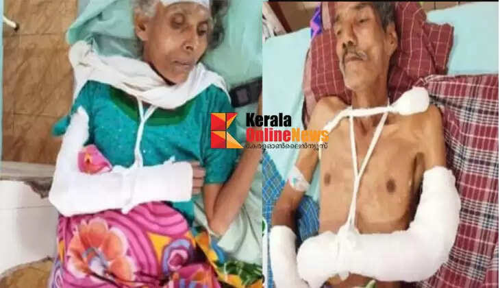 Elderly couple in Wayanad brutally beaten by neighbor for allegedly letting a chicken into their field