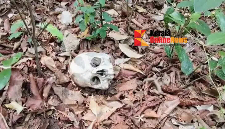 Rotten ropes, shoes, clothes, skulls and skeletons on trees; shocking sight seen by women who went to collect firewood in Thenmala forest