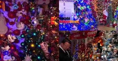 A magical world of 621 Christmas trees in a small house; finally a record