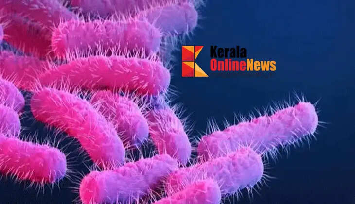Another death due to Shigella; 7-year-old boy dies while undergoing treatment