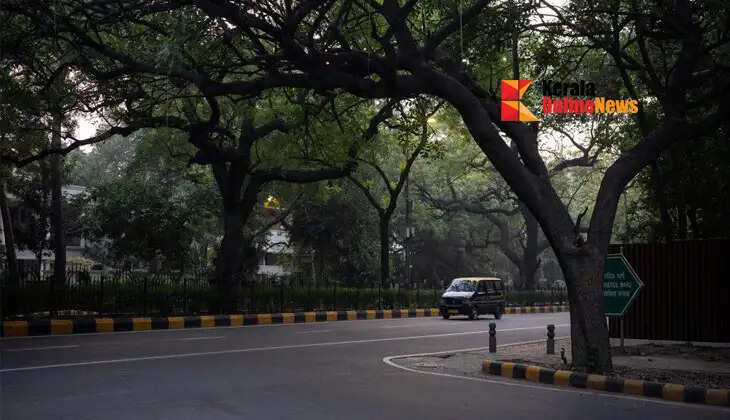 Central government to take inventory of trees in national capital; cost Rs 2.9 crore