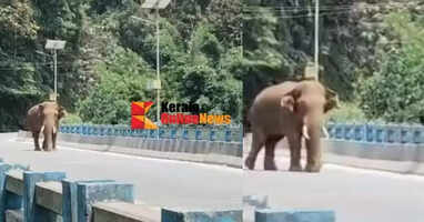 A lone train stranded on the Kootupuzha bridge caused panic among passengers