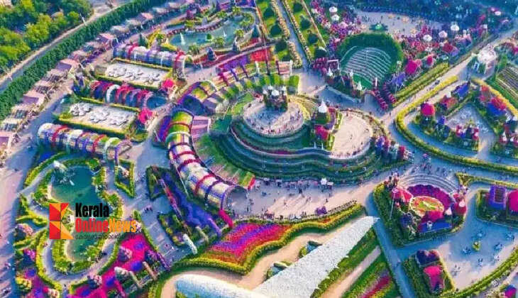 miracle garden