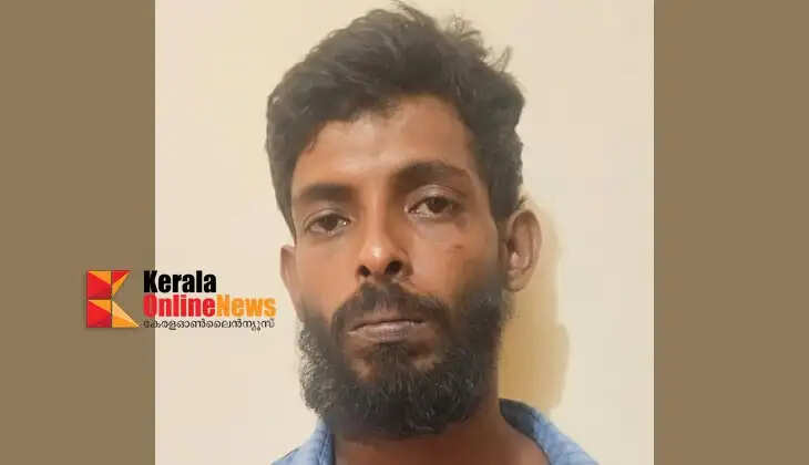 An Alappuzha native, who fled after beating an elderly man to death in Kannur, has been arrested in Visakhapatnam.