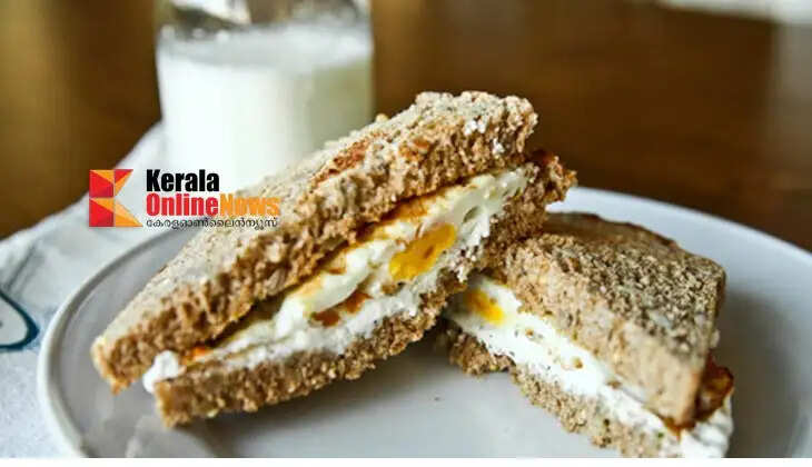 Creamy Cheese Egg Sandwich