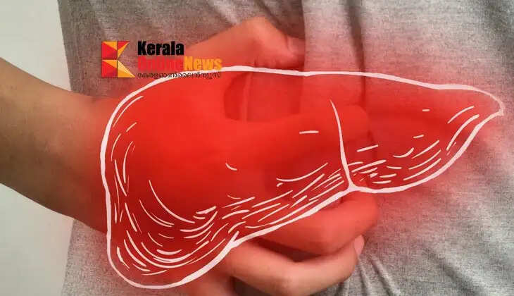 liver