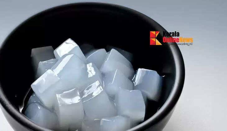 Chennai Special White Curry Jelly