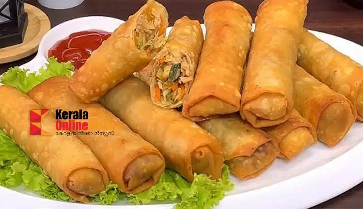 Chicken spring roll