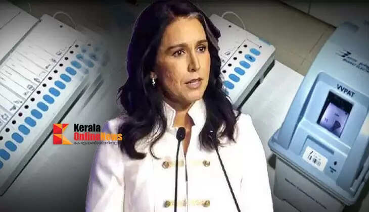 Electronic voting machines can be hacked: Tulsi Gabbard