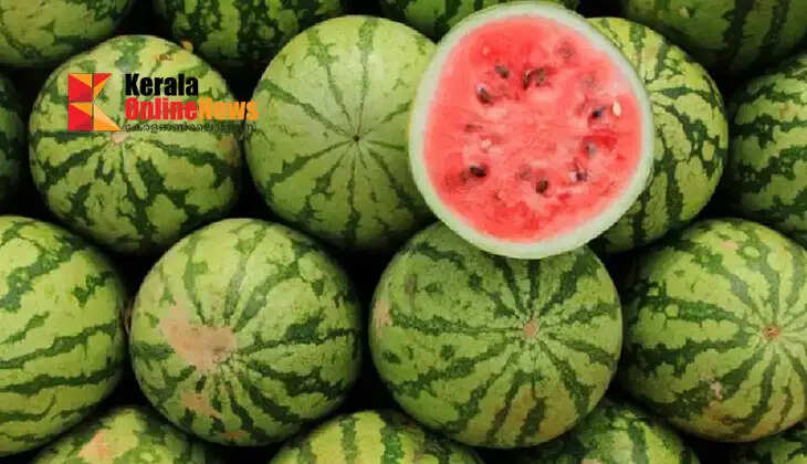 Watermelon is not available in the market; Watermelon prices are soaring in Kollam