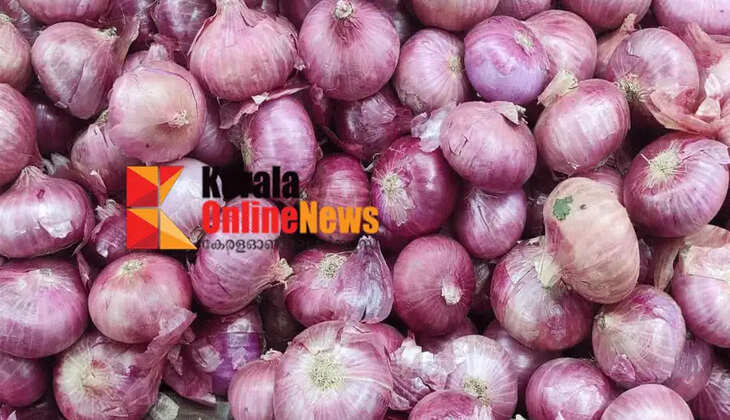 Onion prices soar; Rs 42 per kg, up 19 percent from last month