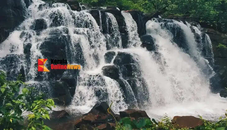 A visual feast in Wayanad, featuring forests, hills, and waterfalls.