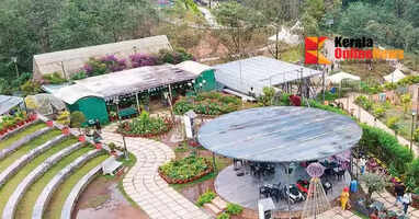 Spring has arrived in South Kashmir; Flower Festival begins in Munnar today