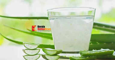 അറിയാമോ കറ്റാർവാഴ ജ്യൂസിന്റെ ആരോഗ്യ ഗുണങ്ങൾ