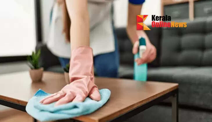 domestic workers