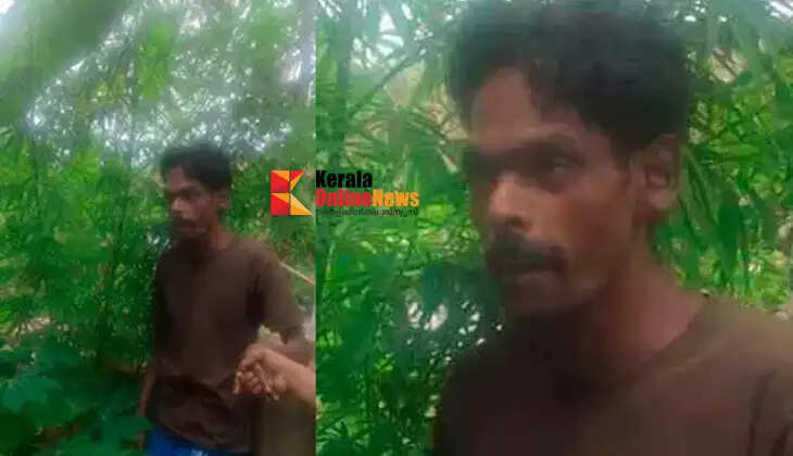 A young man was arrested for growing cannabis plants in his home garden in Varkala.