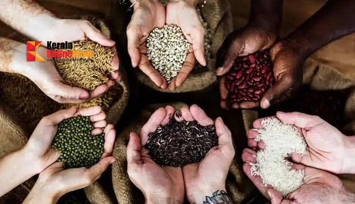 Seed quality is crucial in vegetable farming; here is what you need to know before planting.