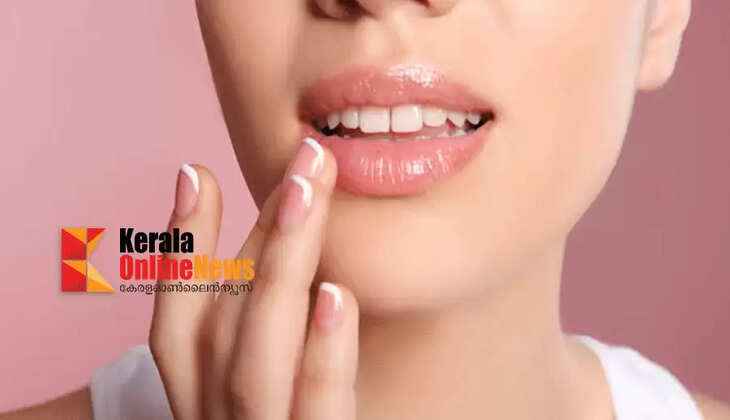lip1