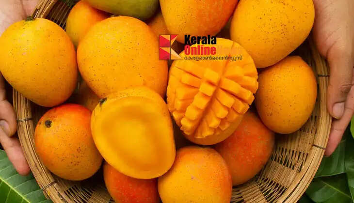 Mango farmers in crisis: West Asian conflict hits exports