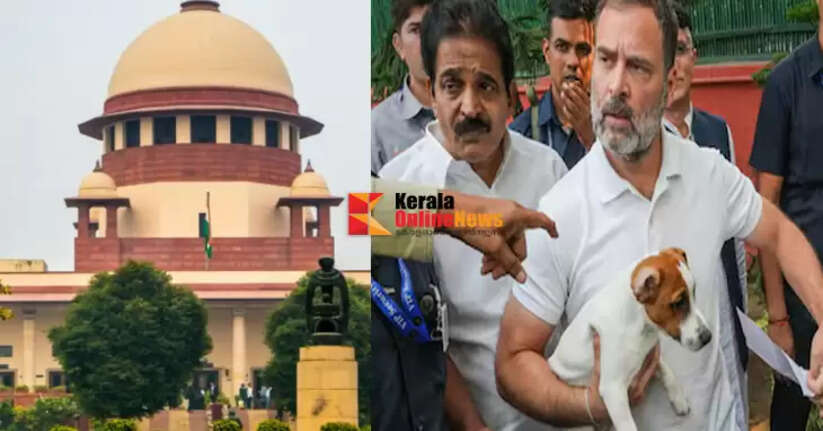 &lsquo;Unscientific, cruel and shortsighted&rsquo;: Rahul Gandhi lashes out at Supreme Court order to shift stray dogs to shelter homes