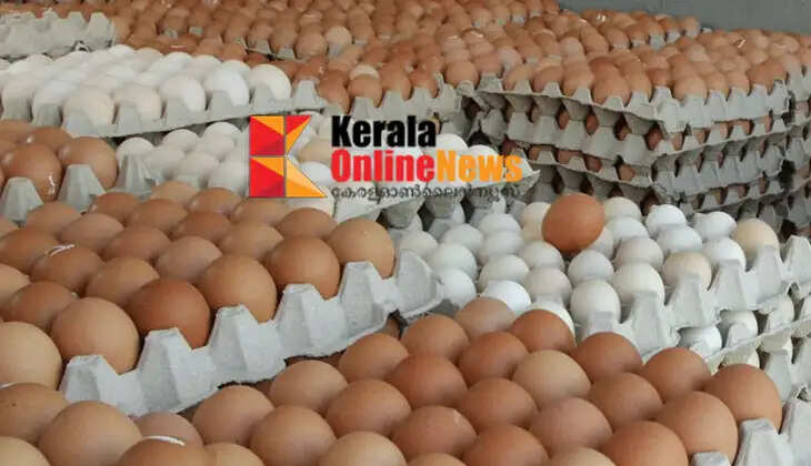 Egg prices in the state hit an all-time record; regular chicken eggs cost Rs 8, local eggs cost over Rs 10