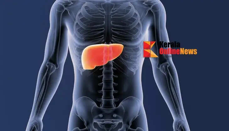 liver