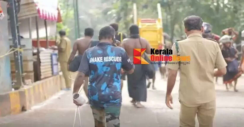 95 snakes caught in Sabarimala in 22 days; Forest Department says there is no need to panic