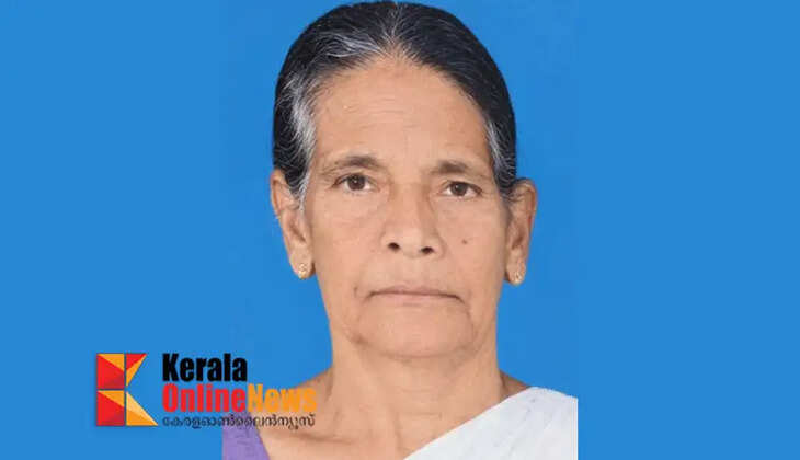 Elderly woman dies after being treated for wasp sting in Kannur
