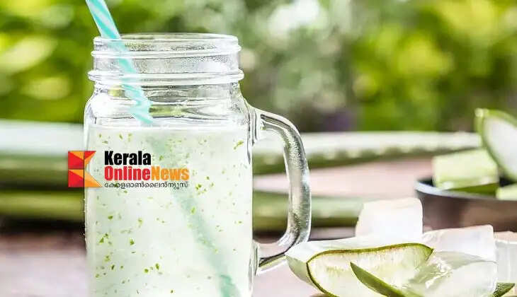 aloe vera