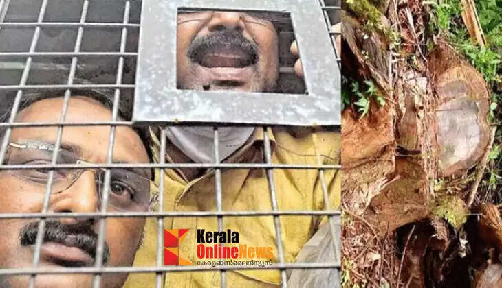 Muttil tree felling case; Setback for the accused, Wayanad District Court upholds confiscation of the sticks