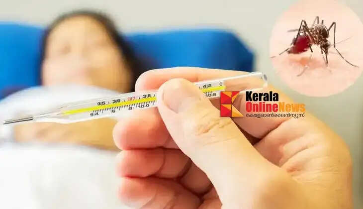 Dengue fever
