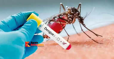 dengue