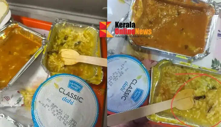 'Banana 2' flourishes; Hashir Gang close to 100 crores