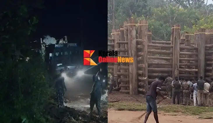 'Operation Kannur Makhna' a success; tuskless male elephant that terrorized Aralam relocated to Muthanga.