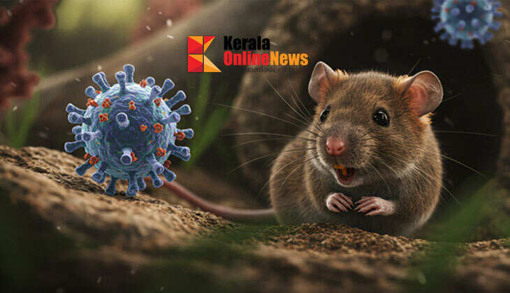 Hanta virus outbreak on MV Hondius: Number of confirmed cases rises to eight, three deaths