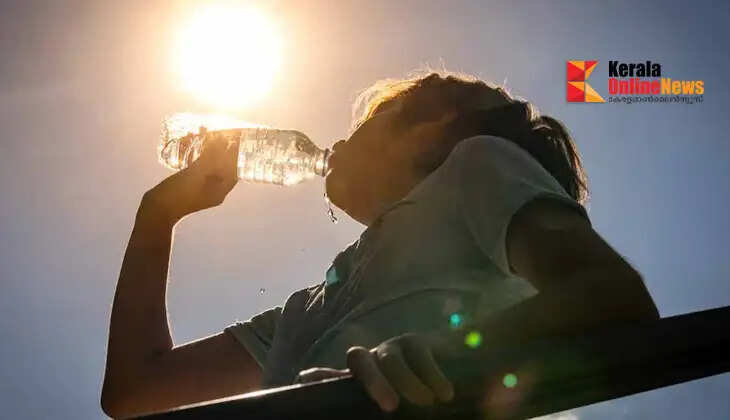 Heat is sweltering; Palakkad temperature reaches 40 degrees; Chief Minister calls high-level meeting