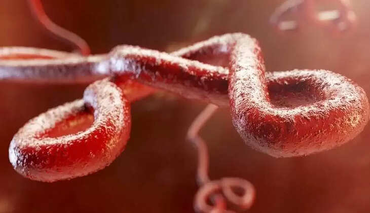 ebola