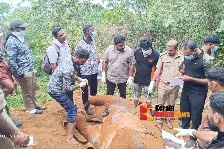A-wild-elephant-calf-died-after-falling-into-a-well-in-Thirunettikallu-Kannur-Initial-findings-suggest-that-the-cause-of-death-was-a-head-injury.jpg