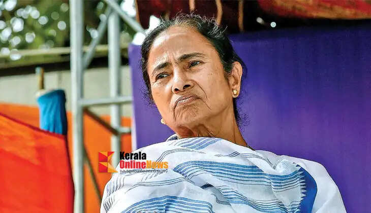 mamata