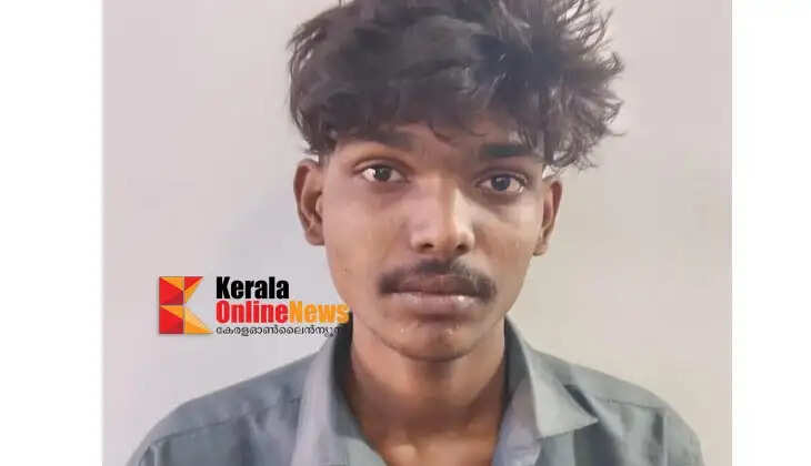 Case of stealing nutmegs left to dry in the courtyard: Accused arrested