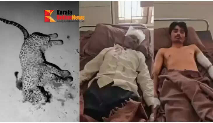 60-year-old father kills leopard that tried to attack his son