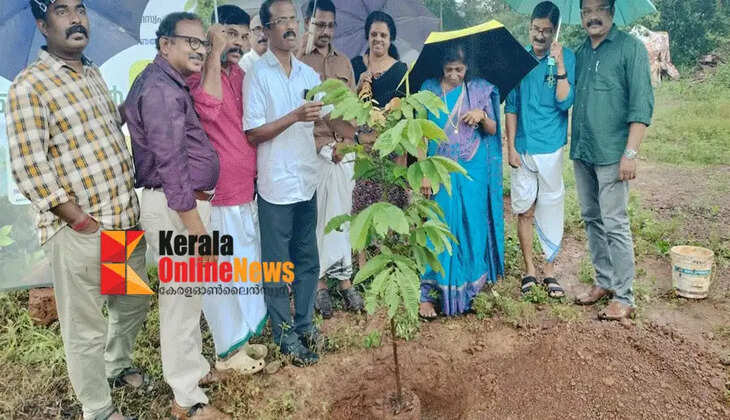 Let's create shade..! Tree planting was organized at Kadampuzha Bhagavathy Temple under the leadership of Malabar Devaswom Board.