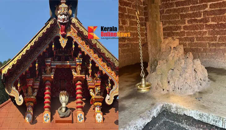 The Taliparamba Kaiyathu Nagam Ayilyam festival will be celebrated on the 24th and the consecration day on the 25th.