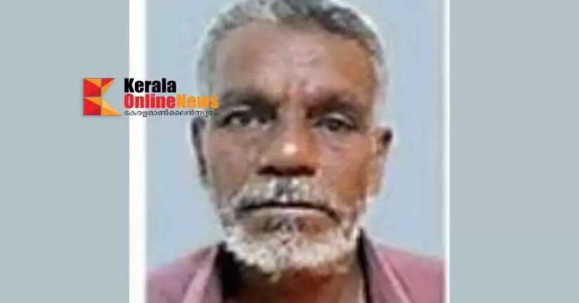 Elderly woman's skeleton found in Thalassery: Husband arrested