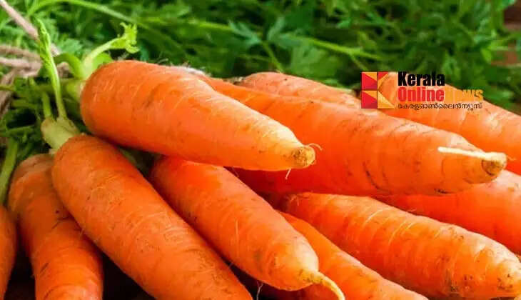 Carrot