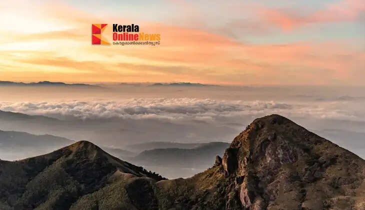 Planning a trip to Meesapulimala? Things to know before trekking