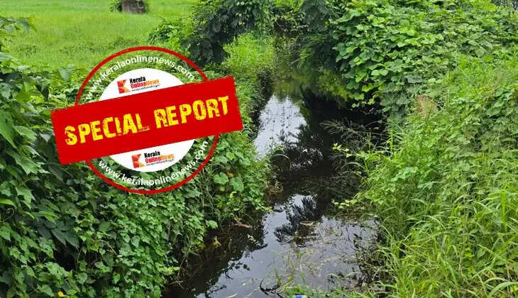 Toilet waste dumped in Bakkalam field in Taliparamba; Severe threat to local residents and the agricultural sector, public protest intensifies
