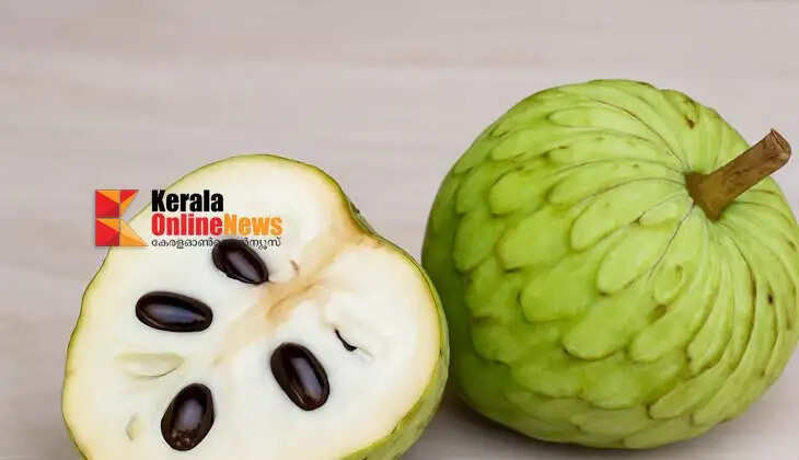 Cherimoya