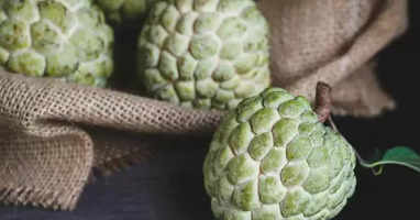 CUSTARD APPLE