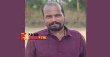 A young man who went fishing in Palakkad died after being swept away by the current.